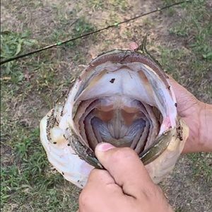 Meet your Posher, Nathan